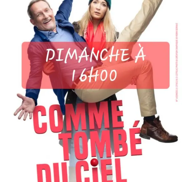 Affiche_Comme tombé du ciel