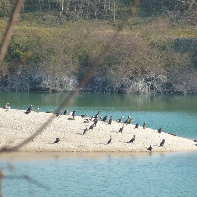 La Coulée Verte, Lyonnaise des Eaux, Le Pecq