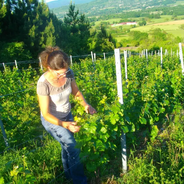 Domaine Antoine Véronique Cerdon