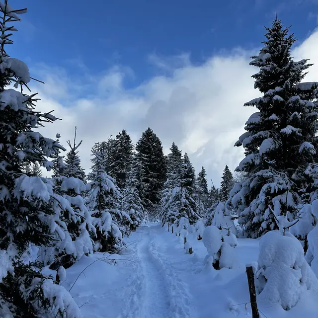 Sentier raquettes : la boucle des Combes_Sallanches