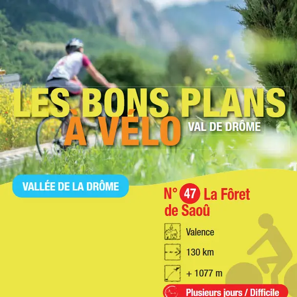 La forêt de Saou_Valence