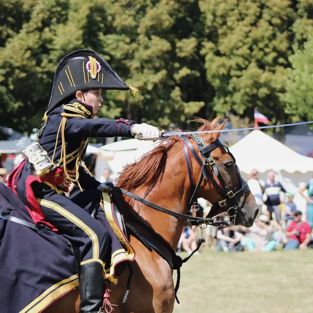 Napoléon au Plessis-Bourré