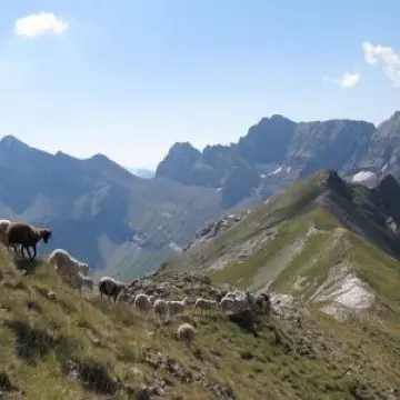 Rando avec Baptiste