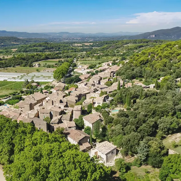 Vaugines