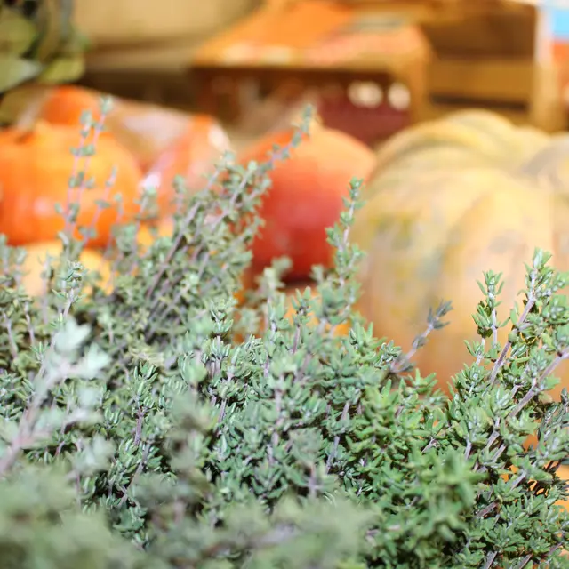 ASSOCIATION TREMPLIIN