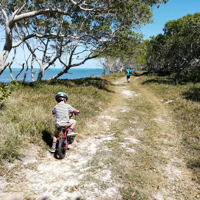 Sentier pédestre de la forêt des origines aux lagon