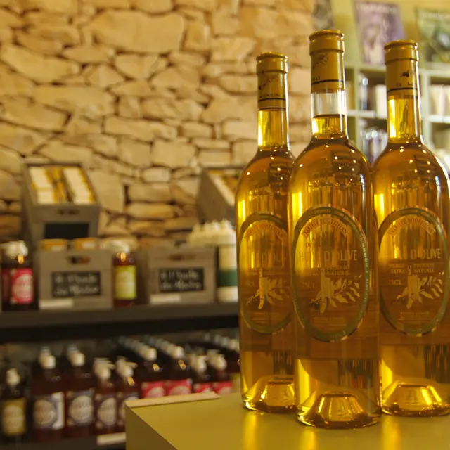 Moulin de Villevieille