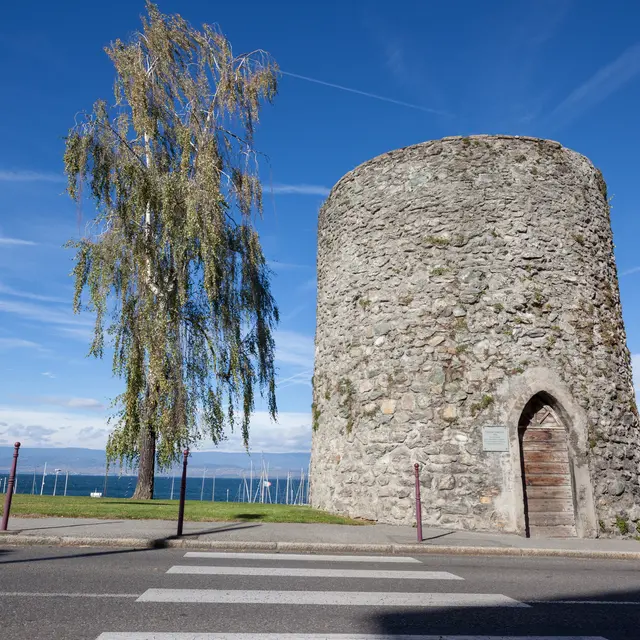 La tour des langues