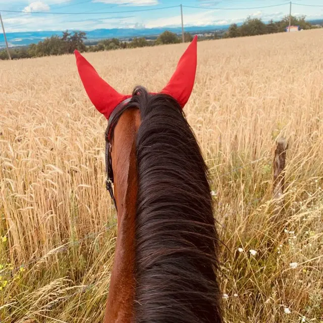 Balades à poney_Saint-Just Saint-Rambert