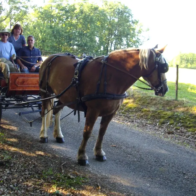 attelage de Deux Rives