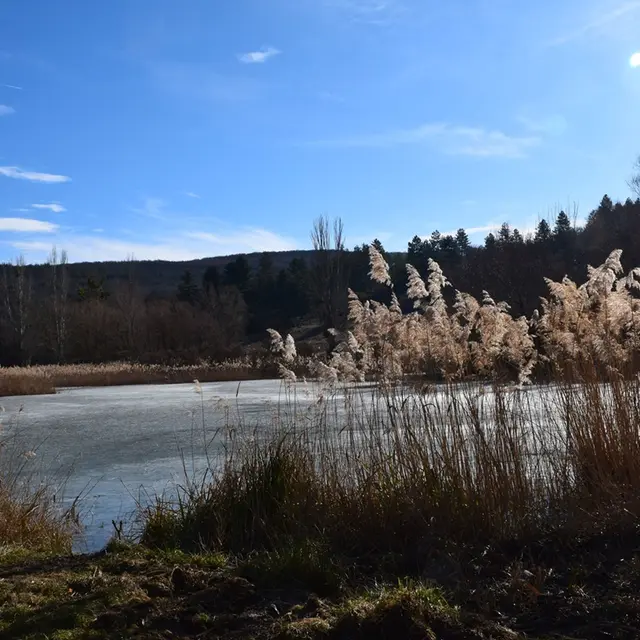 Sortie naturaliste_Avignon