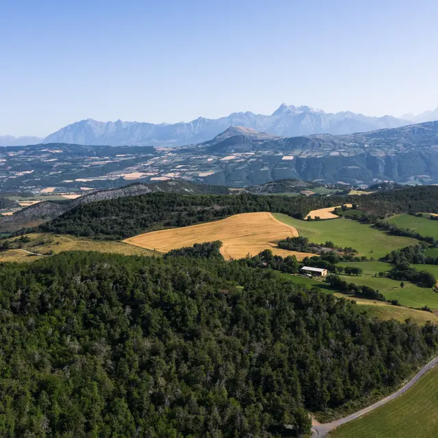 Vallée de l'Avance