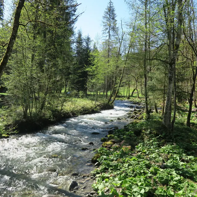 Les Dérèches - promenade au bord de la Dranse_Montriond