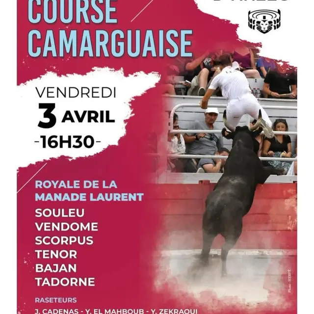 Féria de Pâques - Course Camarguaise_Arles