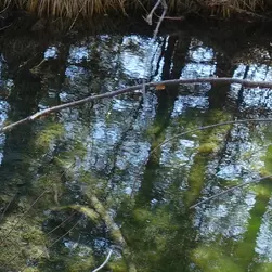 Sortie grand public autour des Nays_Eygliers