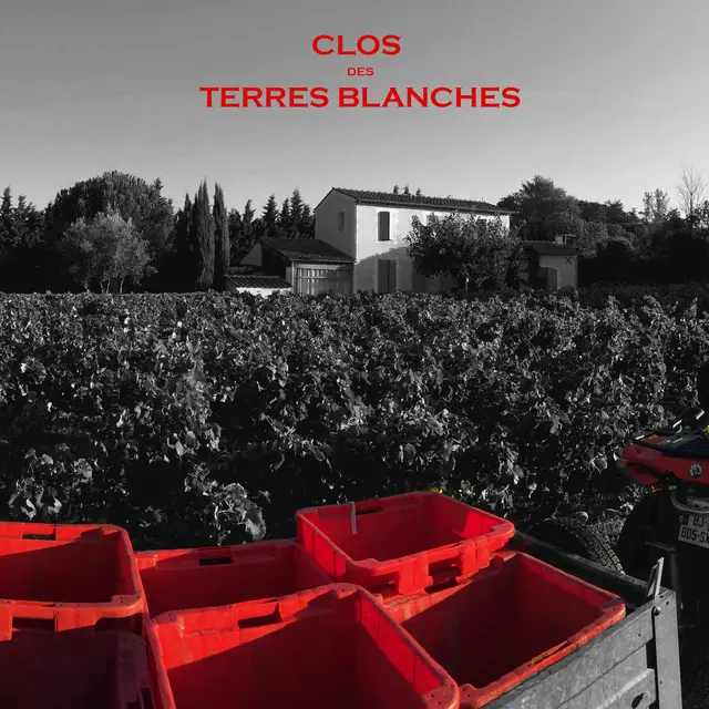 Clos des Terres Blanches