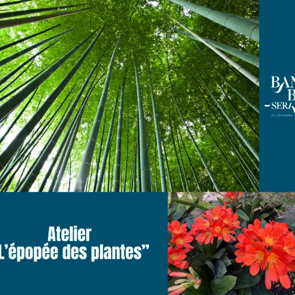 Atelier - Epopée des Plantes_Générargues