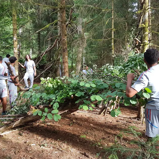 Stage de survie
