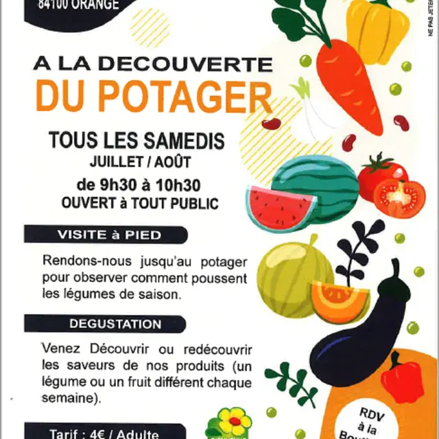 A la découverte du potager