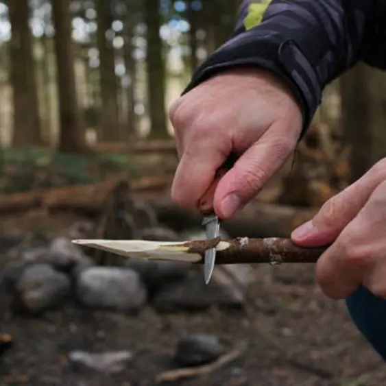 Initiation à la survie