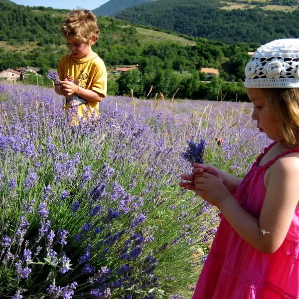 Circuit de l'Aiguebelle - La Faurie / Montbrand_La Faurie