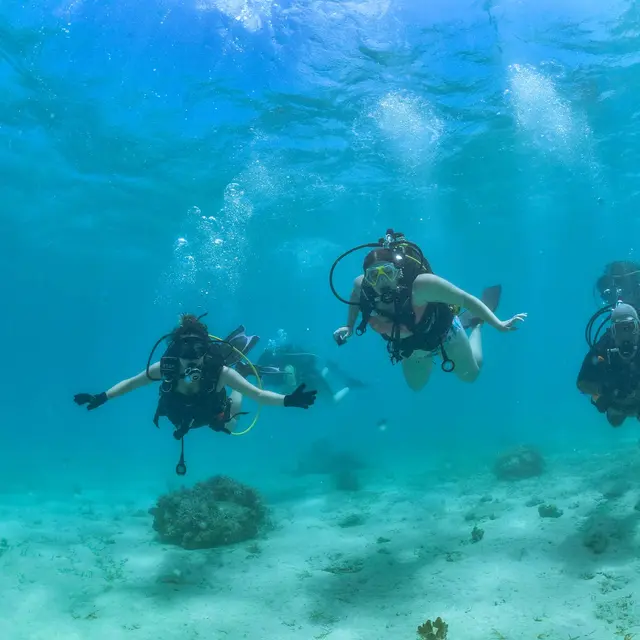 Sortie plongée sous-marine