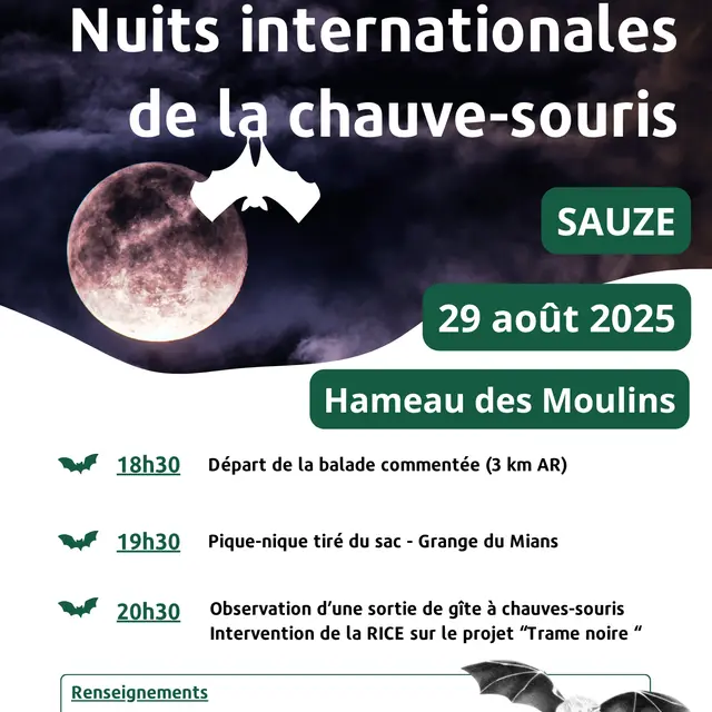 2025_Nuit internationale de la chauve-souris_Sauze
