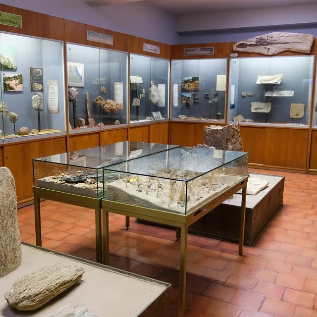 Muséum Requien