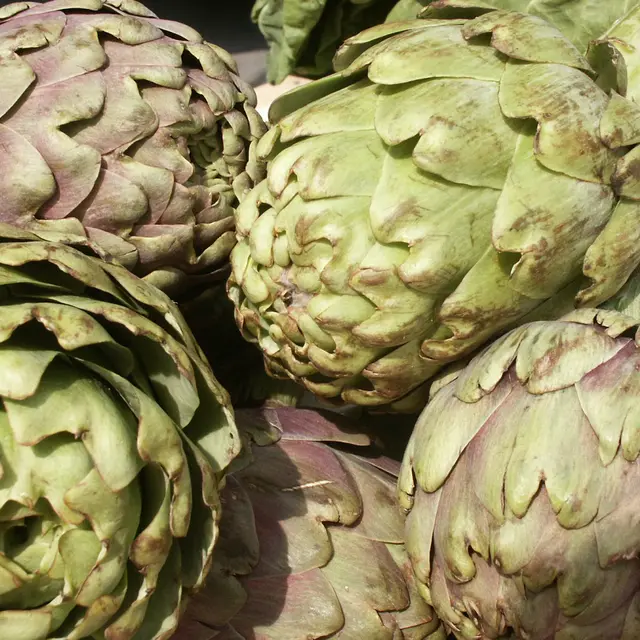 Artichauts
