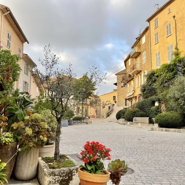 L'agence de Mougins, agence immobilière