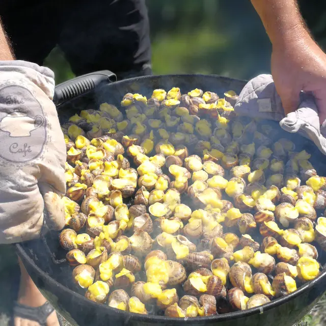 L'escargot des Valanques