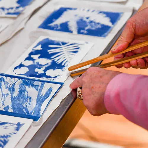 Atelier cyanotype au muséum des sciences naturelles_Angers