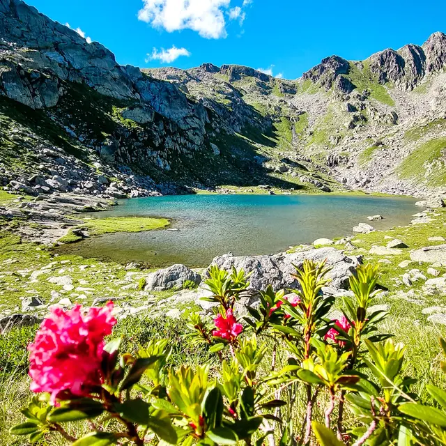 Circuit de randonnée : Lac du Petit_Sainte-Foy-Tarentaise