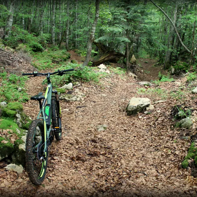 Piste VTT FFC noire 10 - La Féclaz