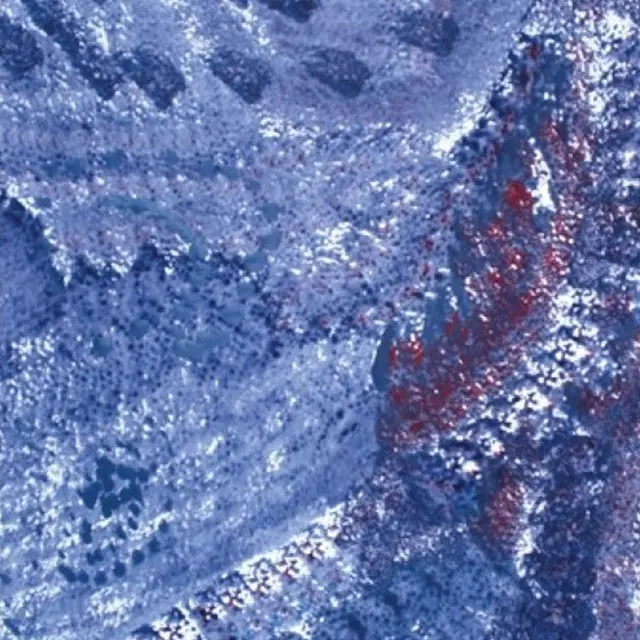 Exposition de peinture Patricia Pianetta à la mairie de la Terrasse