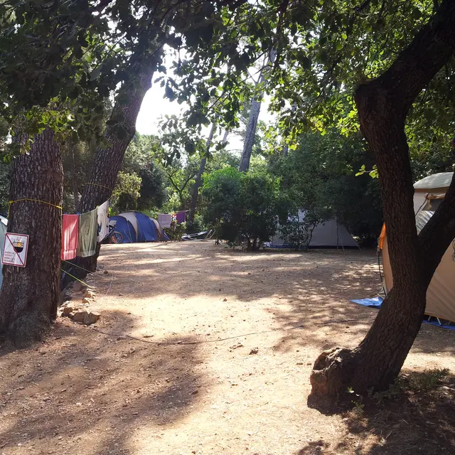 Campingplatz Le Pin de Galle (Le Pradet) | Provence-Alpes-Cte d'Azur  Tourismus