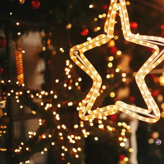 Grande féérie de Noël – « Une nuit bizarre, bizarre (Bach) »_Digne-les-Bains