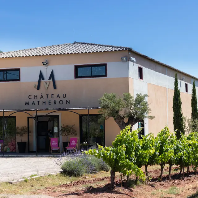 Vignes et Pétanque._Vidauban
