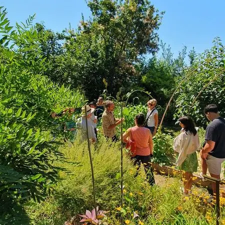 JEP 2026 - Visite guidée du jardin des plantes tinctoriales de Lauris_Lauris
