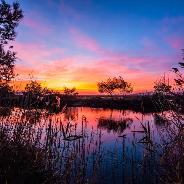 Expositions- Vieux Salins d'Hyères_Hyères
