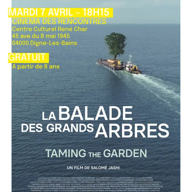 Projection : La balade des grands arbres_Digne-les-Bains