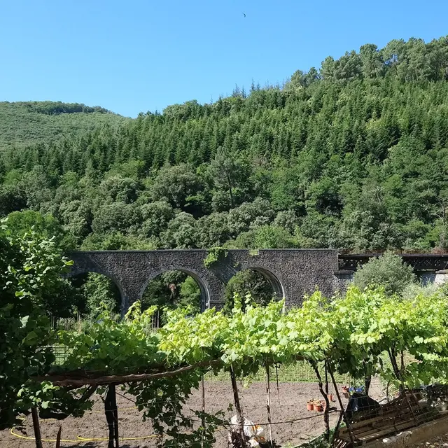 Le Viaduc de St Jean de Valériscle_Saint-Jean-de-Valériscle