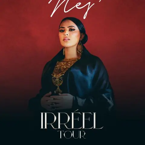 NEJ' - Irréel Tour_Nice