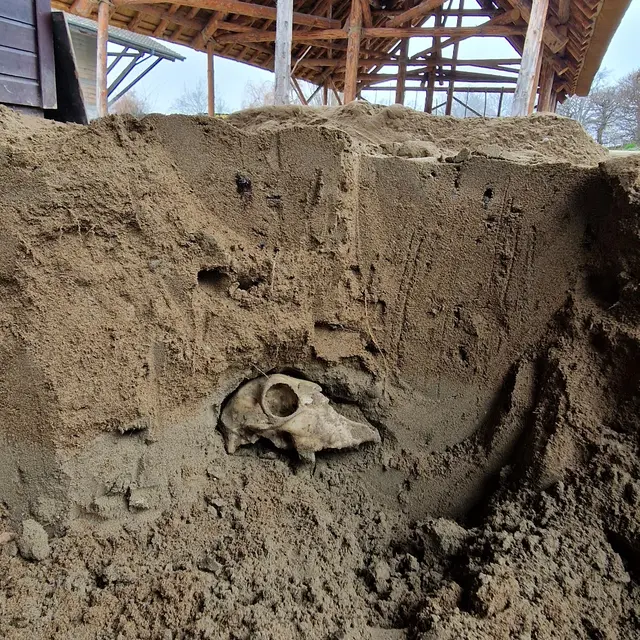 Fouille archéologique_Sciez