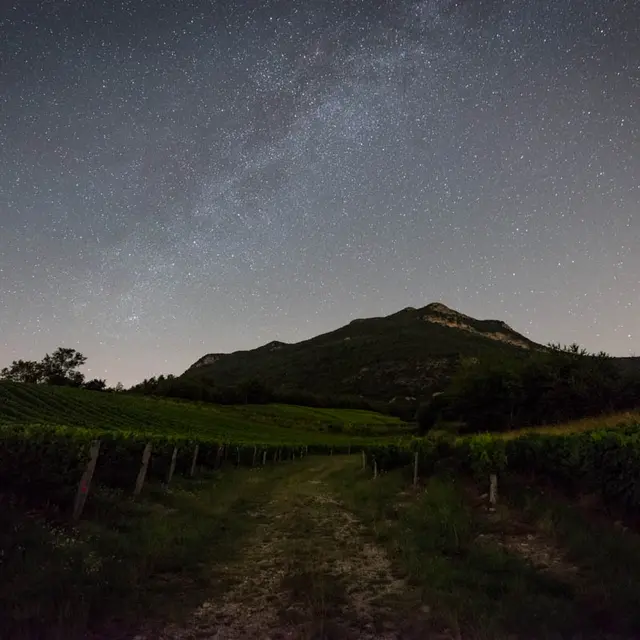 A la croisée des vins et des étoiles_Saint-Jean-de-la-Porte