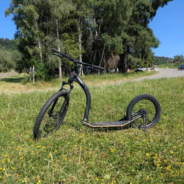 Mountain-riding ou footbike_Habère-Poche