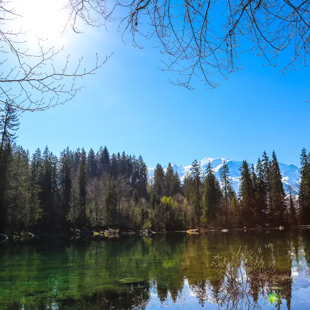 Lac vert