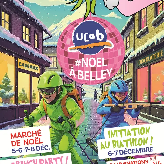Illuminations du 8 décembre à Belley_Belley