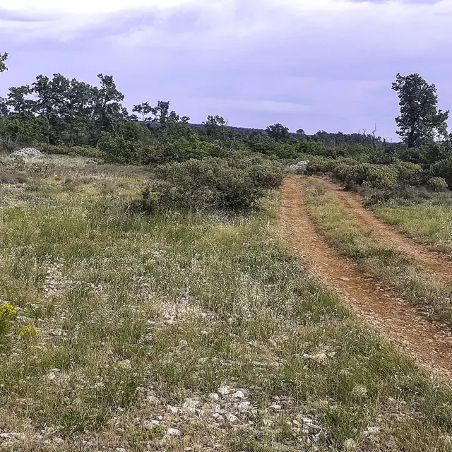 Inventaire photographique des papillons de nuit à Esparron_Esparron de Pallières