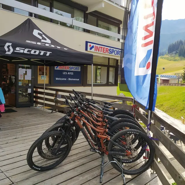 Vtt intersport scott clearance